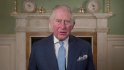 prince charles interview