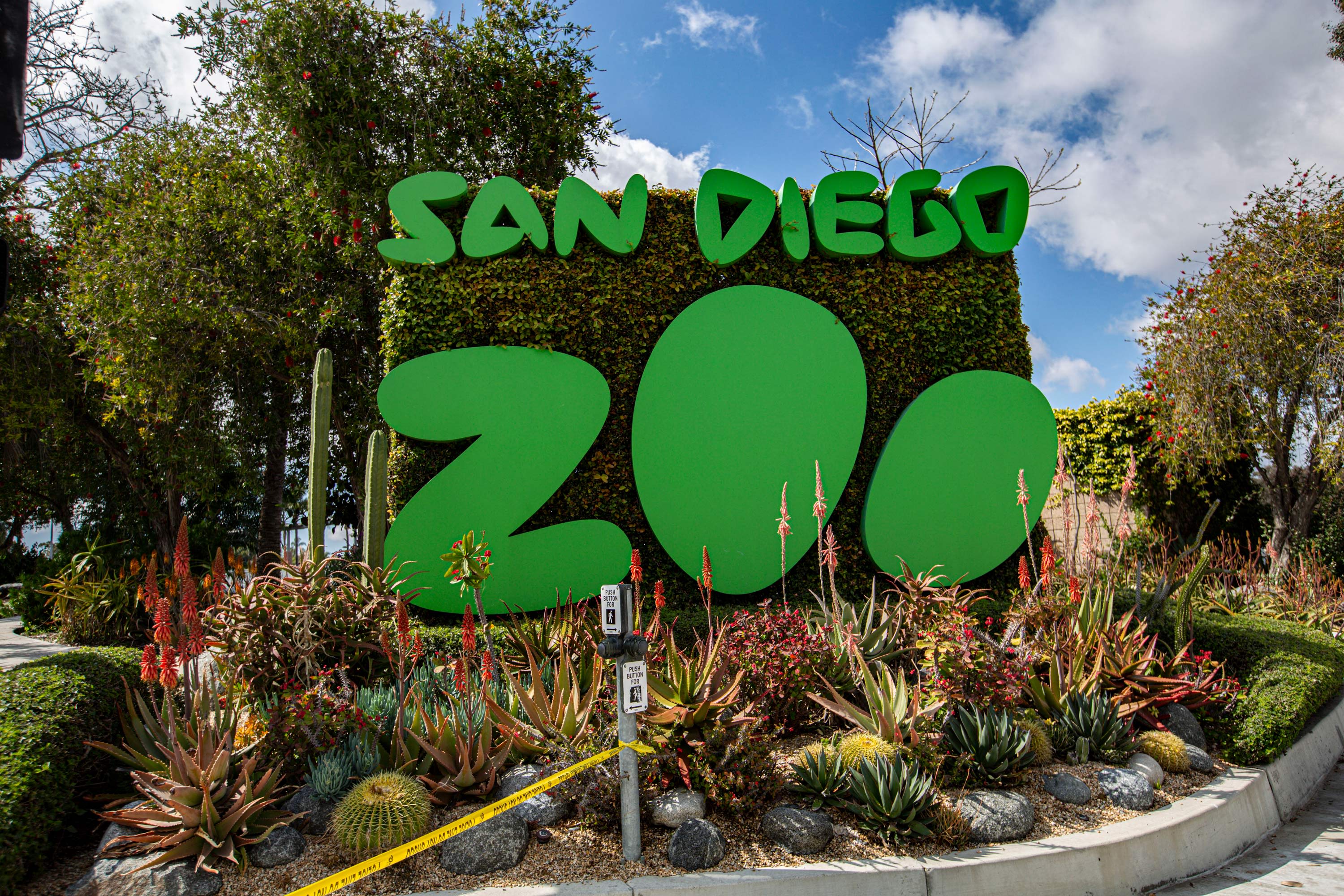Great apes at the San Diego Zoo receive a Covid-19 vaccine for animals | CNN Great apes at the San Diego Zoo receive a Covid-19 vaccine for animals | CNN