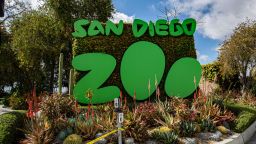 SAN DIEGO, CALIFORNIA - APRIL 11: General view outside San Diego Zoo as entertainment venues remain closed due to coronavirus on April 11, 2020 in San Diego, California.  The entertainment industry has been hit hard by the restrictions in response to the outbreak of COVID-19. (Photo by Daniel Knighton/Getty Images)