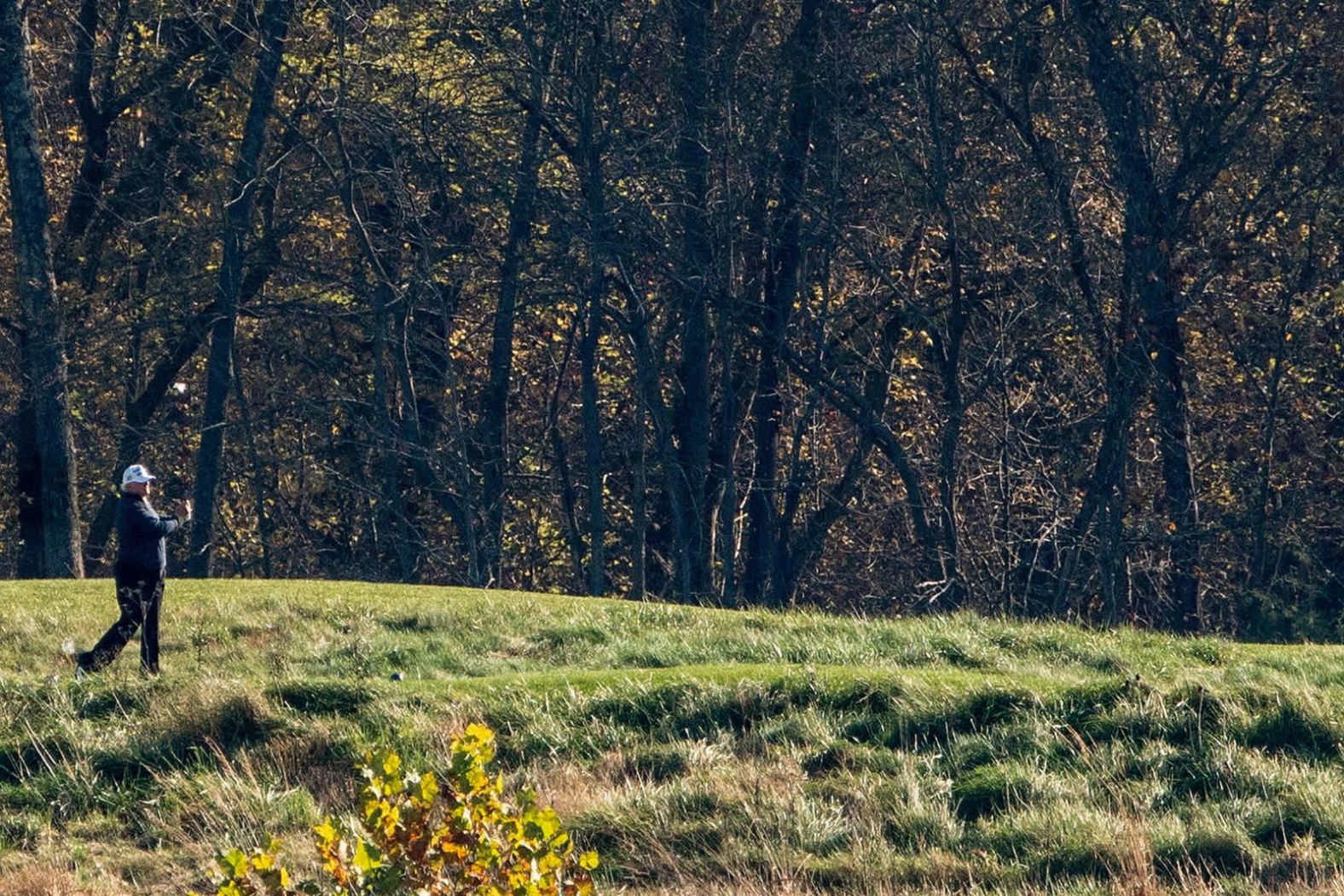 Trump plays golf in Sterling, Virginia, in November 2020. He was at the course when Joe Biden was projected as the winner of the presidential election.