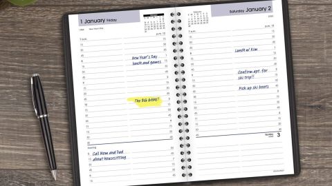 At-a-Glance 2021 Daily Appointment Book & Planner