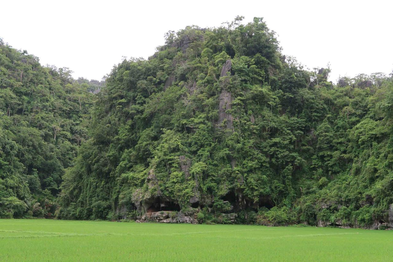 Steep limestone cliffs enclose the limestone cave where the painting was found. The cave is only accessible by a narrow passage in the dry season.