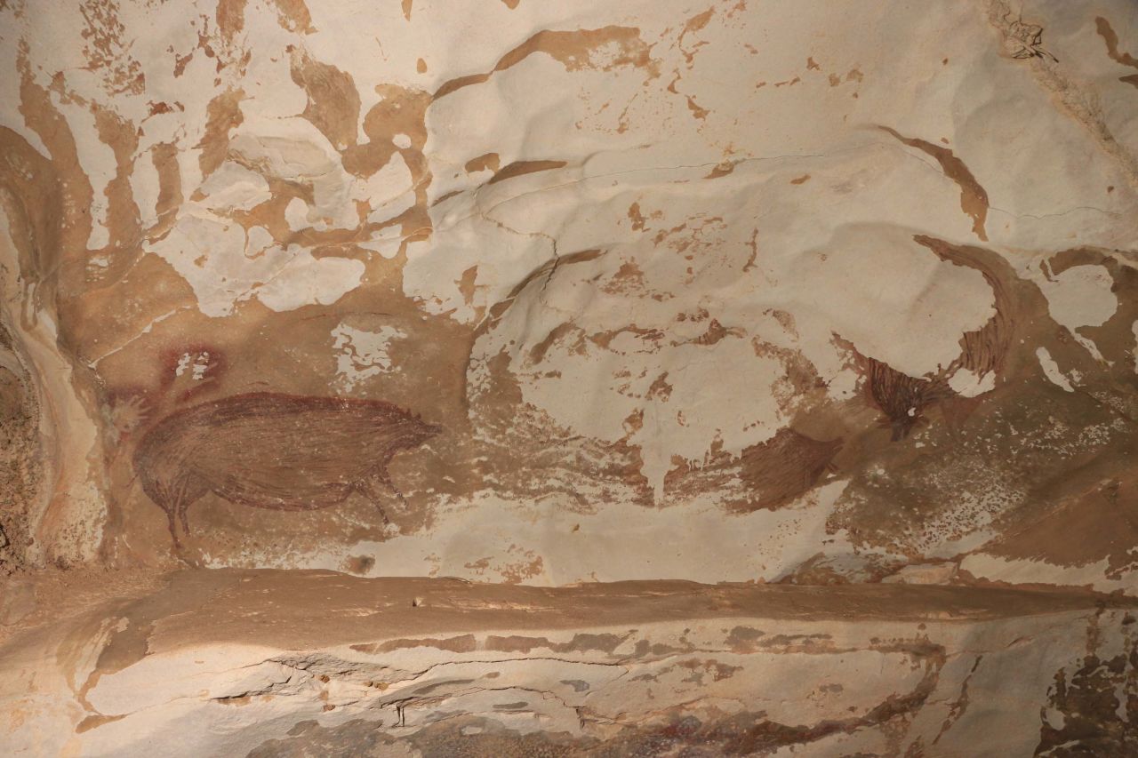 Painted using red ocher, the scene shows a warty pig watching other warty pigs fight or otherwise interact.