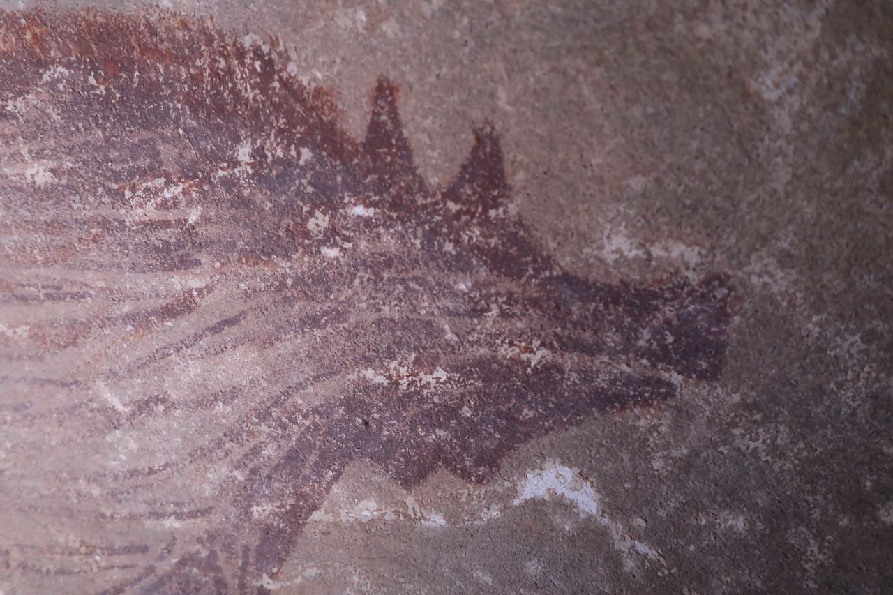 The researchers were confident the image was of a warty pig because of the two conspicuous, hornlike protusions in the upper snout area.