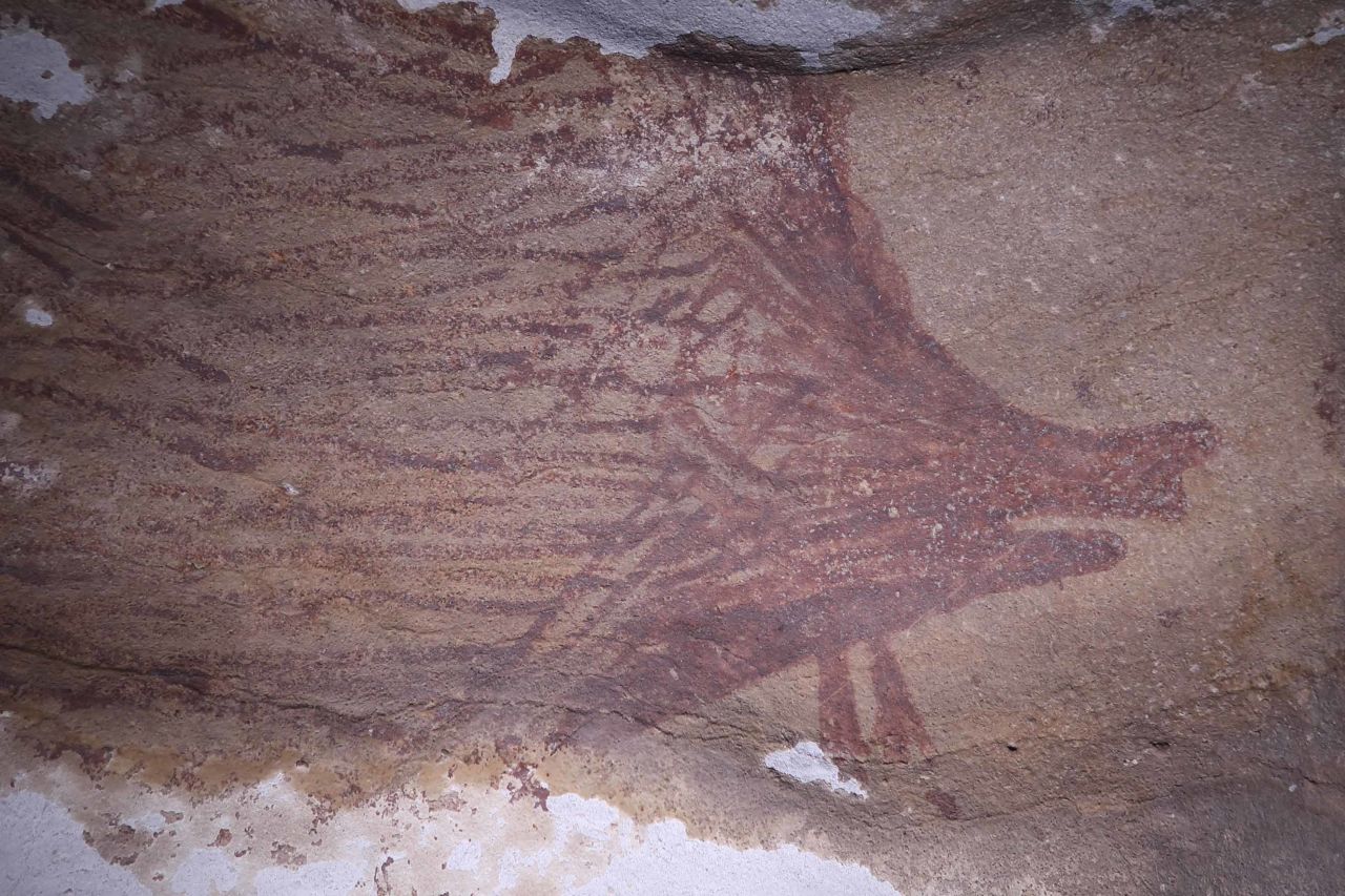 A second depiction of a warty pig in another cave was dated to at least 32,000 years ago. 