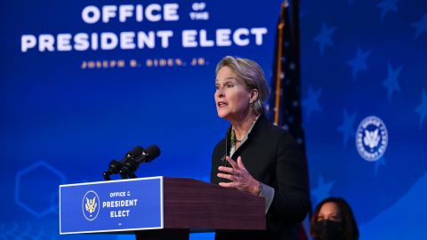 Frances Arnold is Biden's pick to be co-chair of the President's Council of Adviers on Science and Technology.