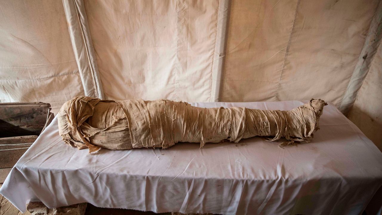A mummy is displayed during the official announcement of the mission discovery at Egypt's Saqqara necropolis south of Cairo, on January 17.