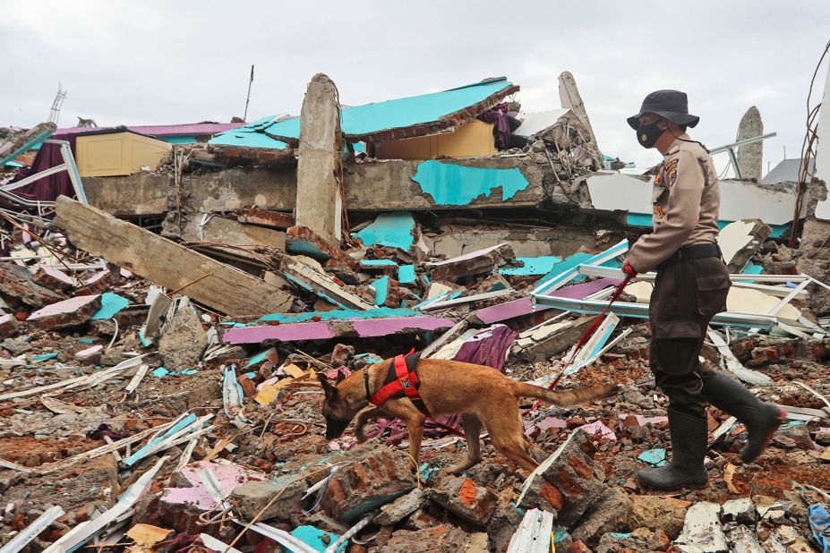 A police officer leads a sniffer dog during a search of victims at the ruin of a building in Mamuju, on Sunday, January 17.
