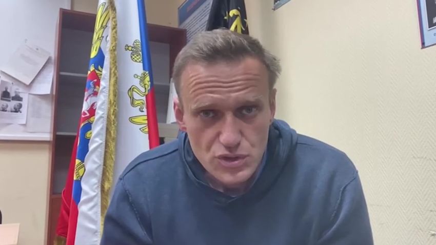 alexey navalny toad