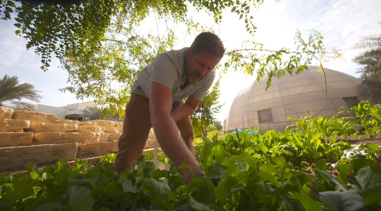 For one year, Phil Dunn is attempting to base his diet on food grown only where he lives, in Dubai's Sustainable City.