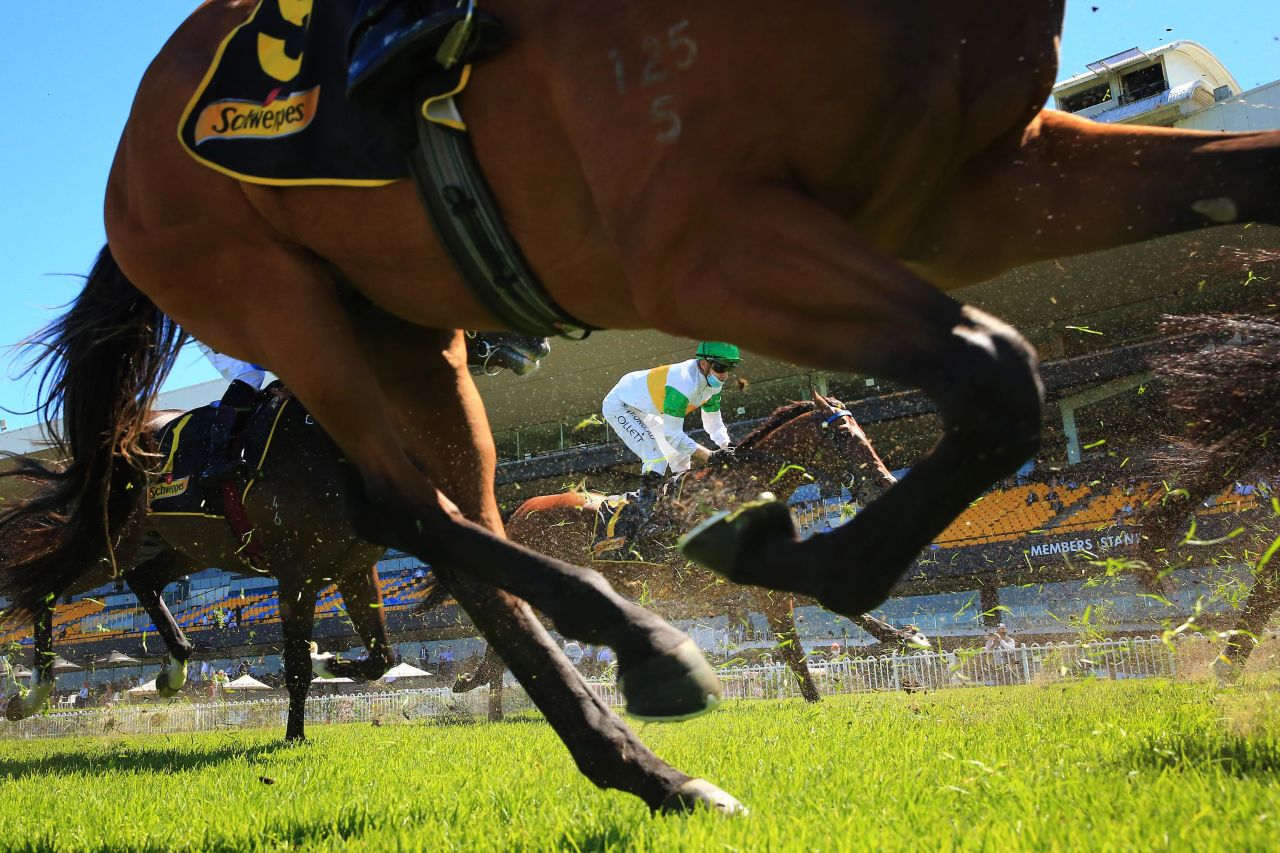 Horses race at Sydney's Rosehill Gardens on Saturday, January 16.