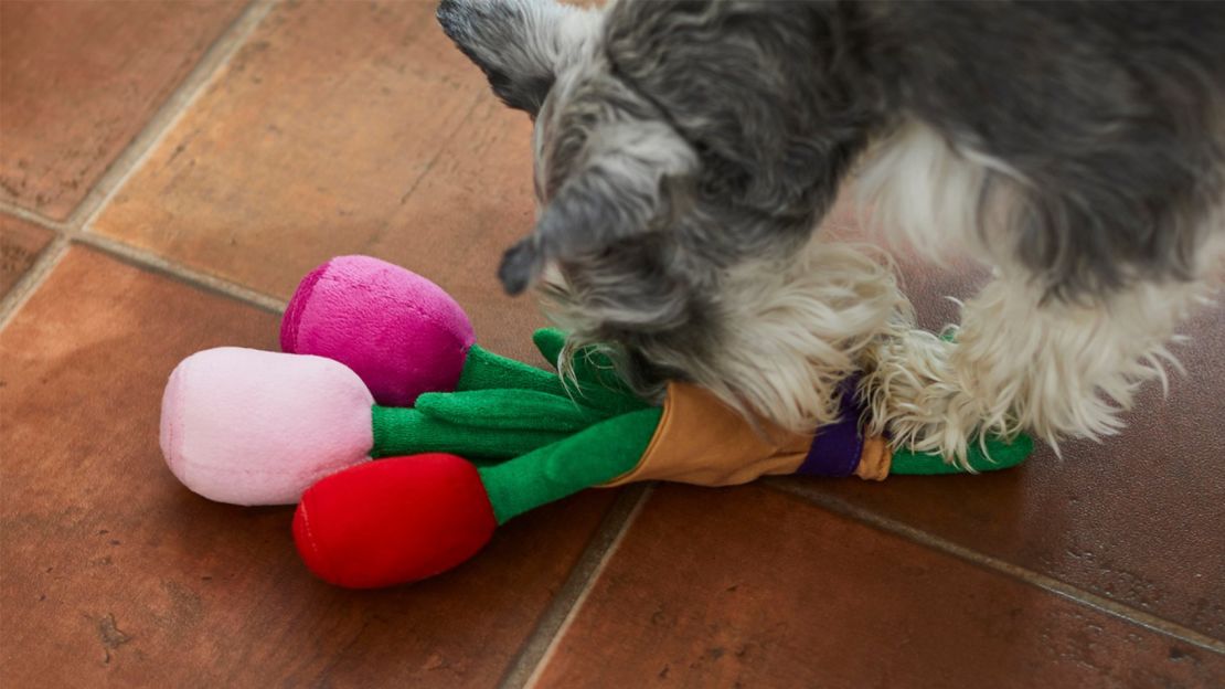 Best cat and dog toys for Valentine's Day