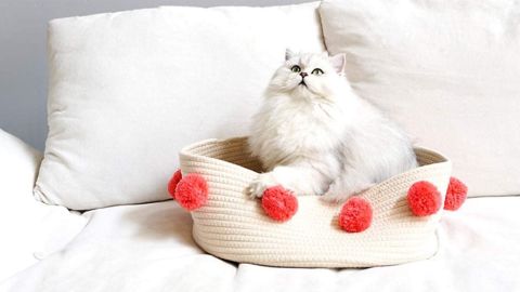 Lovely Caves Cat Bed 