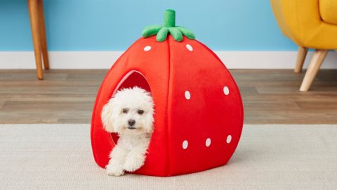 YML Strawberry Dog Bed 