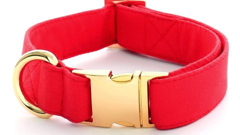 The Foggy Dog Ruby Dog Collar