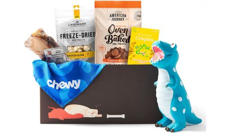 The Chewy Goody Box for Dogs 