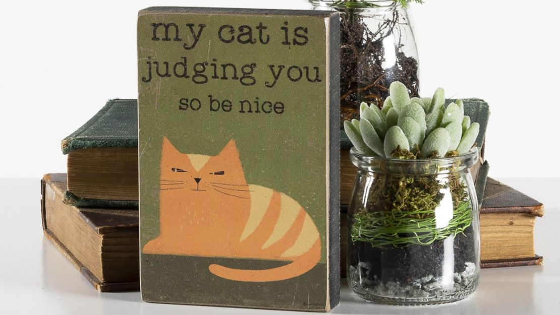 Primitives by Kathy 'Judging You' Box Sign 