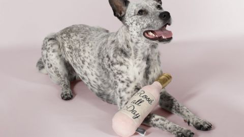 Pet Shop by Fringe Studio Rosé All Day Squeaking Toy