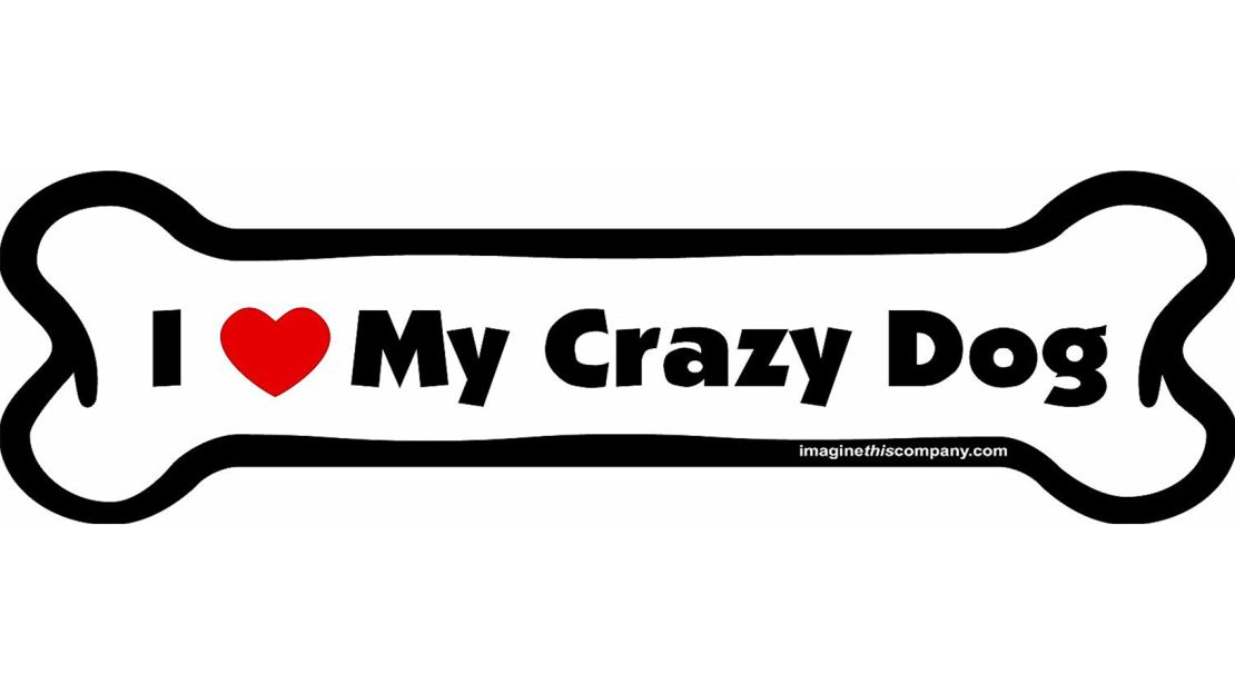 Imagine This Company 'I Love My Crazy Dog' Magnet