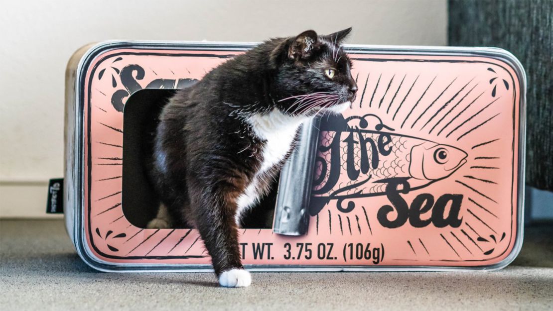 District 70 Sardine Can Cat Scratcher 