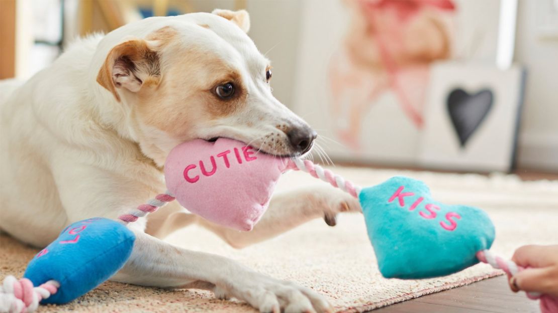 4 Stimulating Dog Toys on Valentine's Day