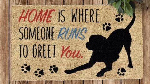 Design Imports Dog Doormat