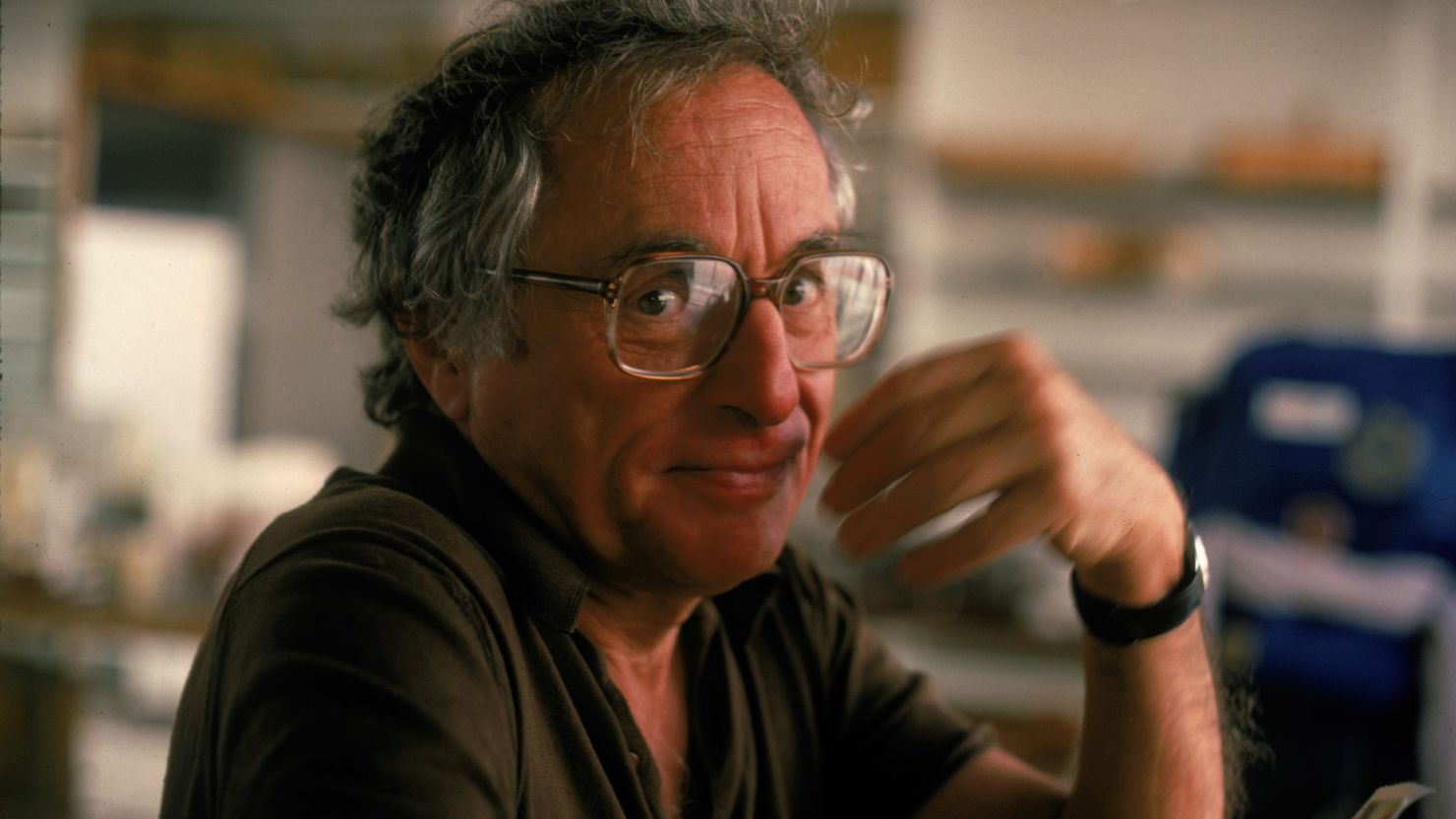 American screenwriter and director Walter Bernstein in California in 1983.