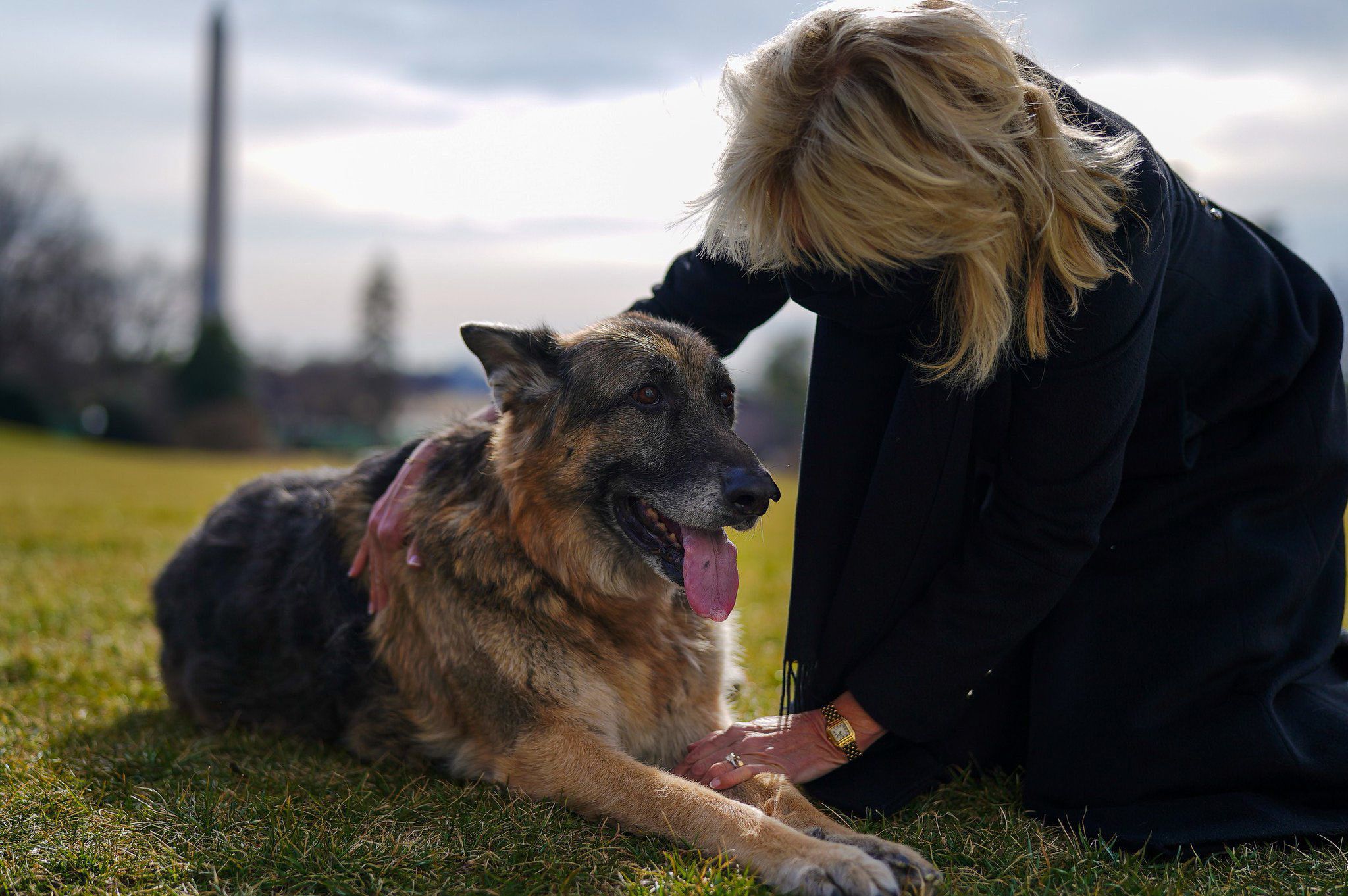 are dogs allowed in white house