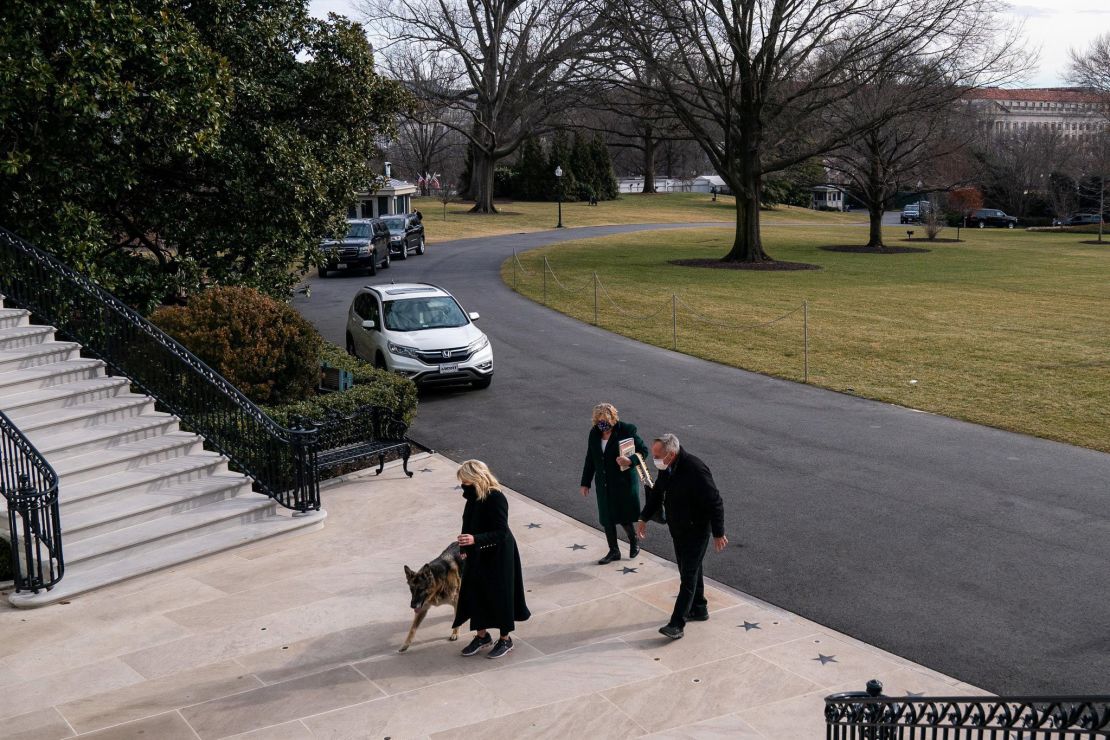 First dogs Champ and Major Biden moved into the White House on Sunday, January 24.