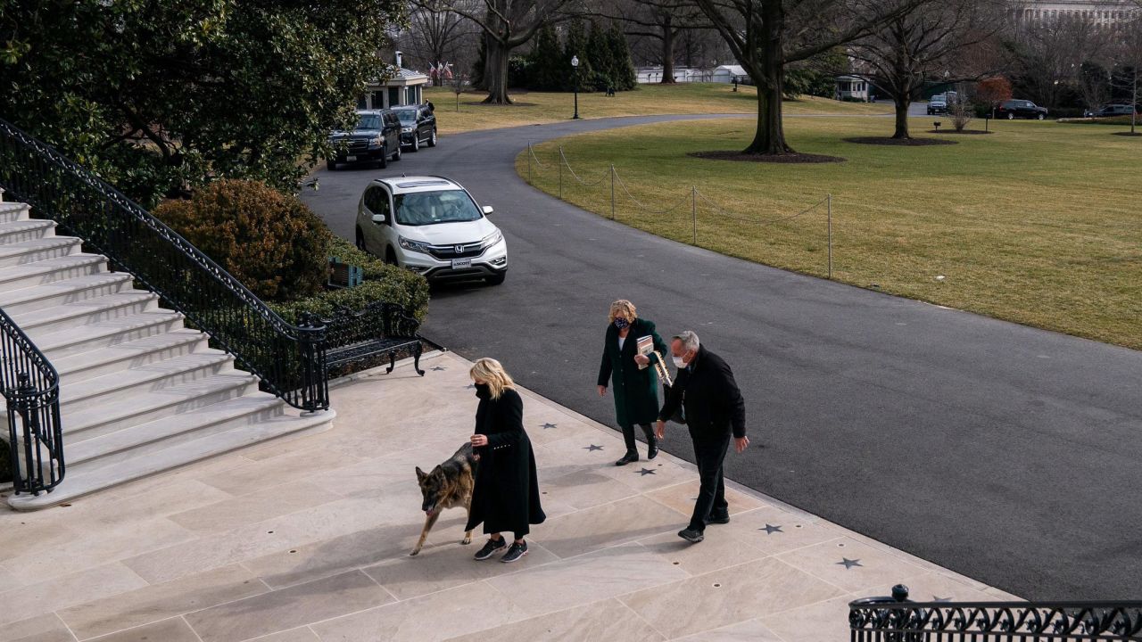 First dogs Champ and Major Biden moved into the White House on Sunday, January 24.