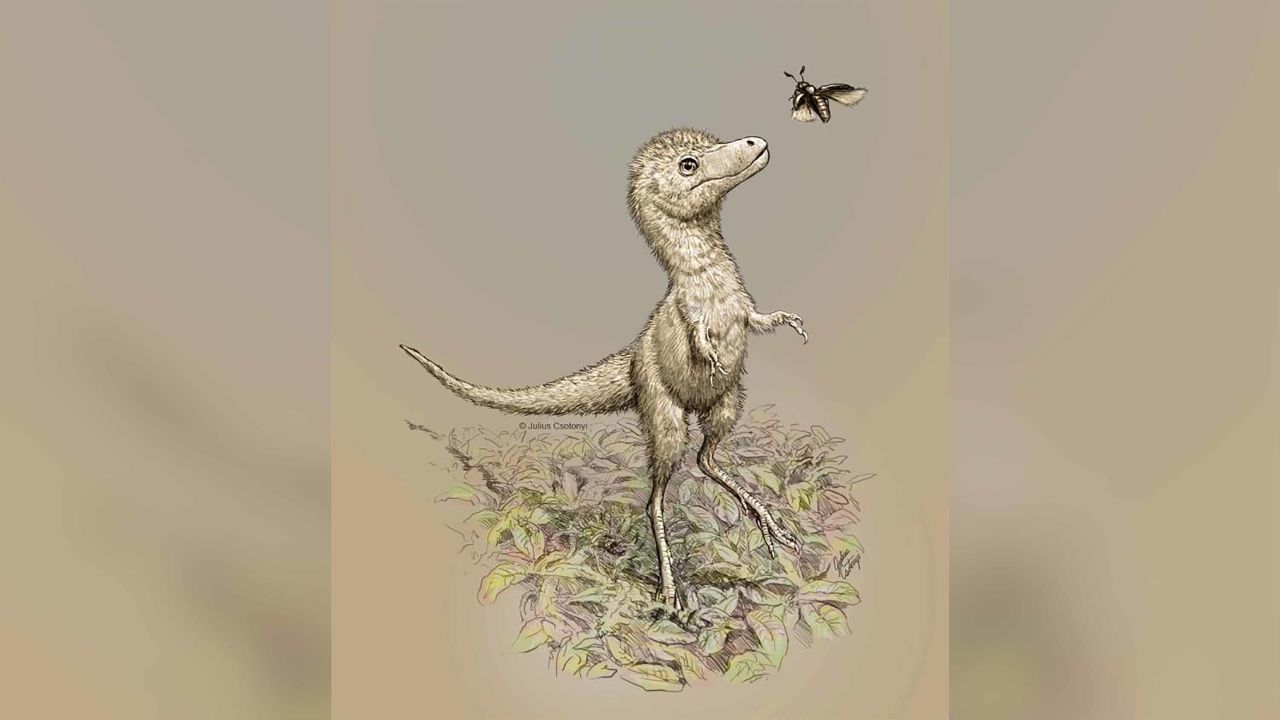 The baby tyrannosaurs would have been born with a full set of teeth, researchers say.