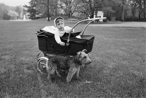 John F. Kennedy Jr. mischievously leans out of his baby carriage and reaches for the family's Welsh terrier, Charlie. Charlie was one of the Kennedy family's many dogs.