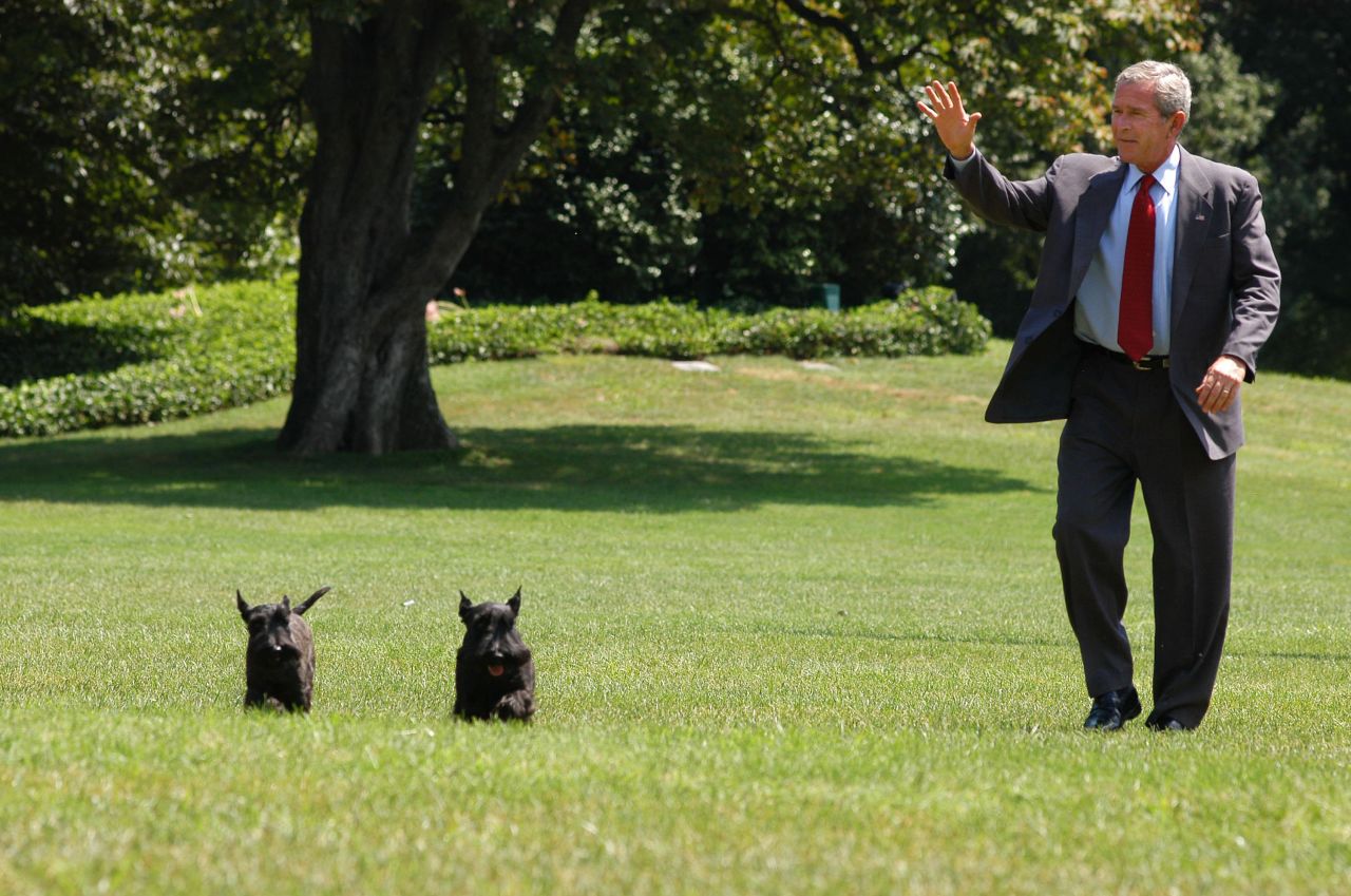 George W. Bush is joined by his Scottish terriers Barney and Miss Beazley as he walks on the South Lawn of the White House in 2006.
