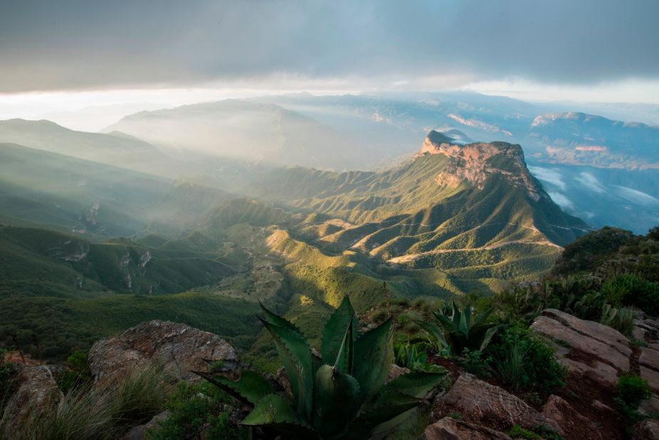 Around 2,700 meters (8,900 feet) above sea level, this viewpoint overlooks the highlands of Sierra Gorda. Pedraza Ruiz woke up at 4:30am to photograph the landscape in the morning light. The trees on the right are oaks and the plant in the middle of the photograph is an agave -- Mexico has the biggest diversity of both oaks and agave plants in the world. While it used to be very isolated, Ruiz says that over time, the area has become increasingly popular with tourists. <br />