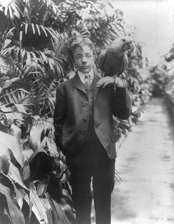 President Theodore Roosevelt's eldest son, Teddy Jr., holds a macaw named Eli circa 1902. The Roosevelts had all kind of animals, including lizards, snakes and a one-legged chicken.