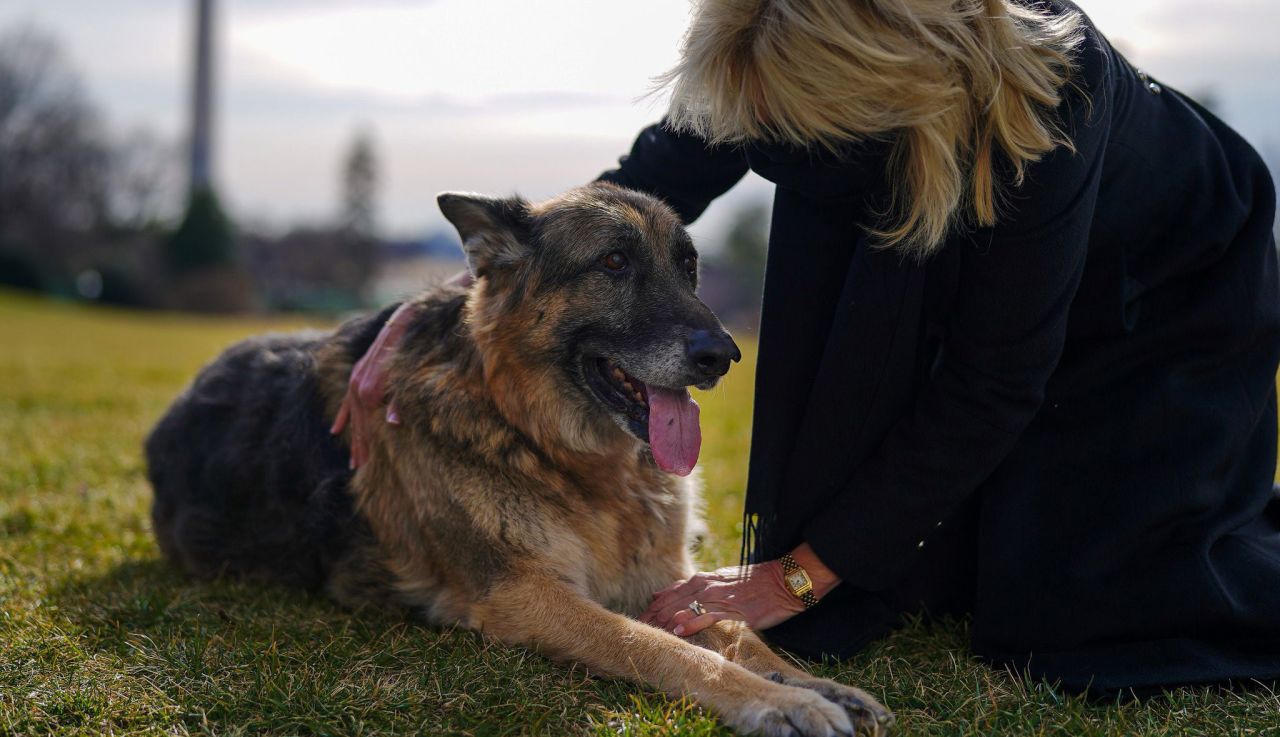 Champ was one of the Biden family's German shepherds. <a href="https://www.cnn.com/2021/06/19/politics/champ-biden-german-shepherd-dog-dies/index.html" target="_blank">He died in June 2021</a> at the age of 13.