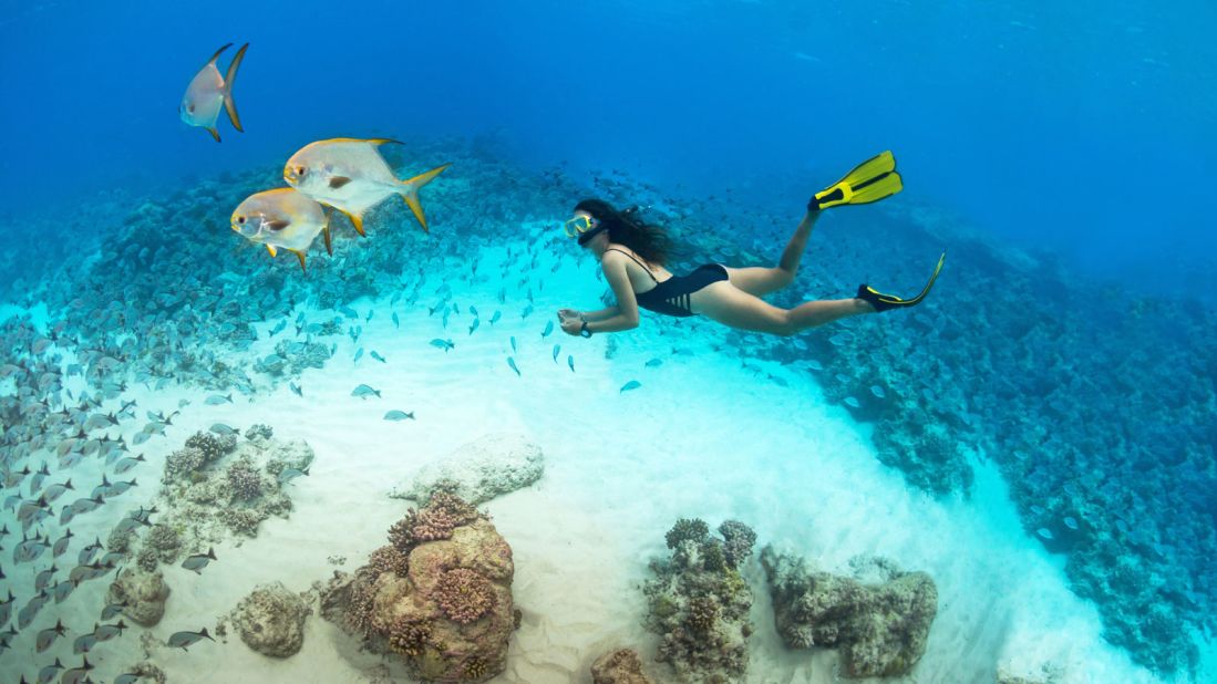 <strong>Snorkeler's paradise: </strong>Seychelles' Alphonse Atoll offers a diverse marine life and spectacular diving and snorkeling spots.