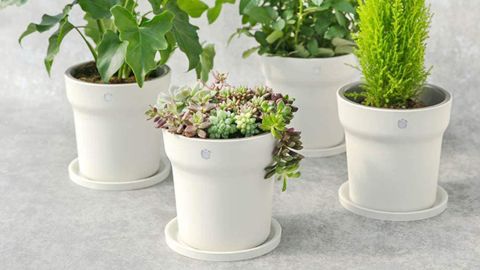 Ollivan Smart Plant Pots
