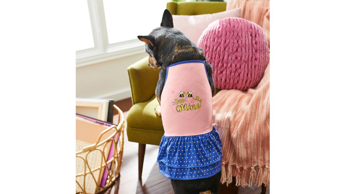 Frisco 'Bee Mine' Dog Dress 