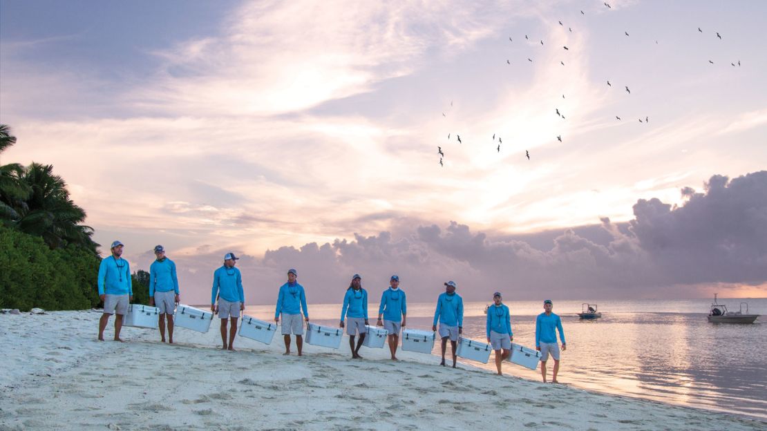 The Blue Safari team lead a number of activities, such as beach cleanups and bird watching walks.