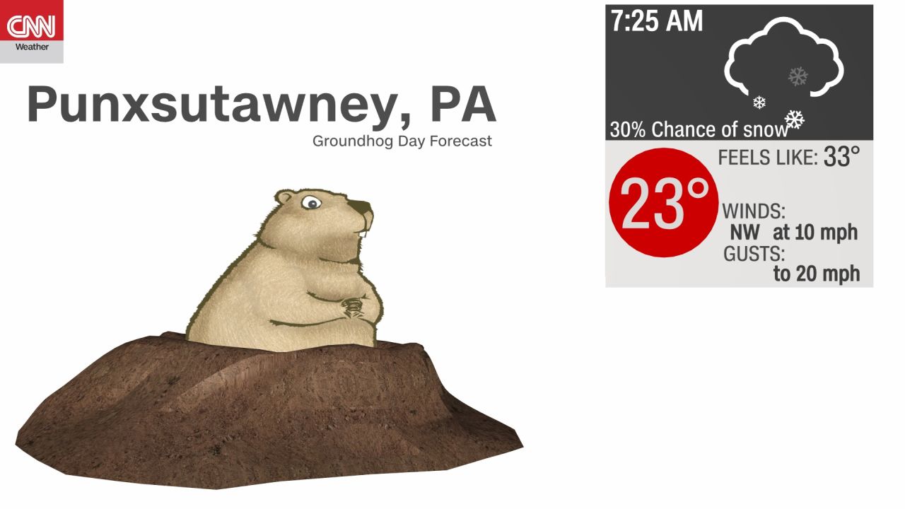 weather froundhog day forecast 01312021