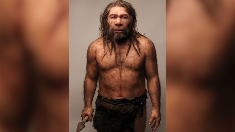 Stone Age teeth hint at Neanderthal interbreeding picture
