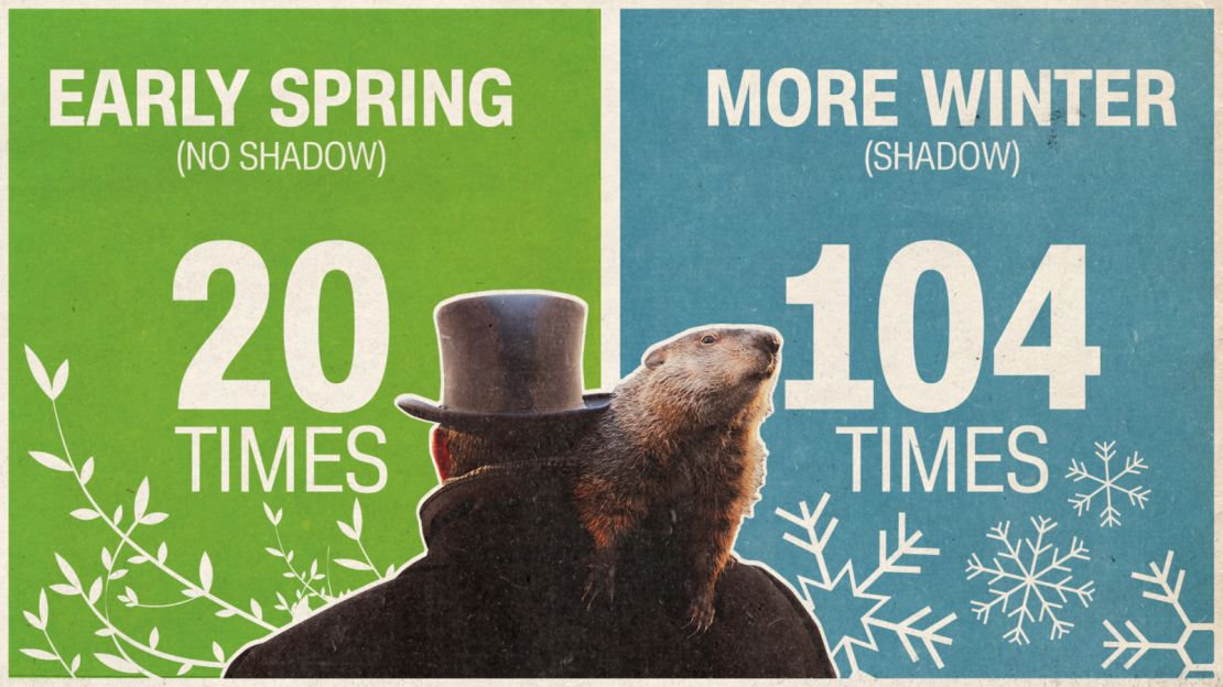 Groundhog No Shadow