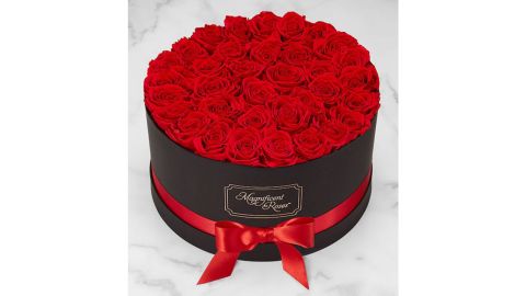 gorgeous roses