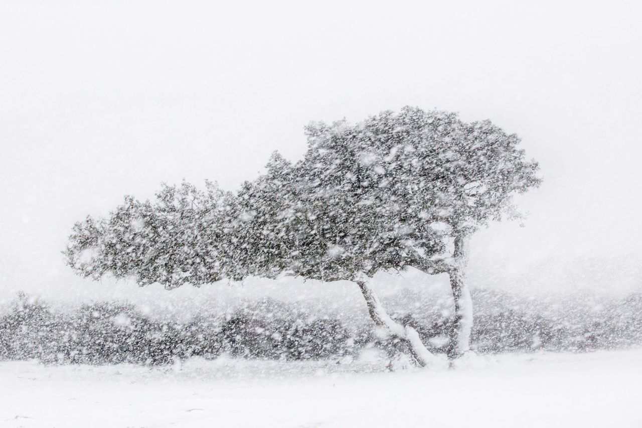 Snow blizzards are a rare sight in Sardinia, Italy, but Alessandro Carboni got lucky.