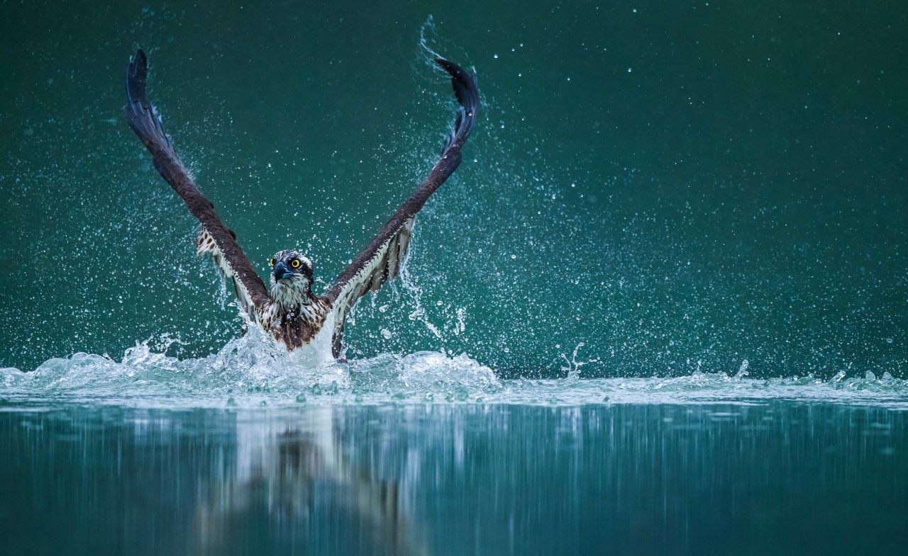 Travel Photographer of the Year 2020 pictures | CNN