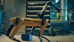 Boston Dynamics Spot Arm Robot orig