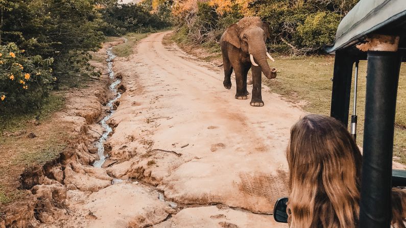 <strong>Not just leopards: </strong>Leopard Trails' safaris give travelers a chance to experience Sri Lanka's diverse wildlife up close. 