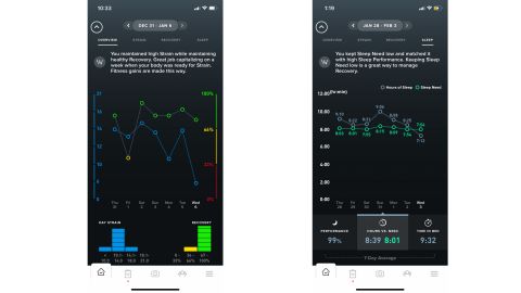 Whoop Strap 3.0 data