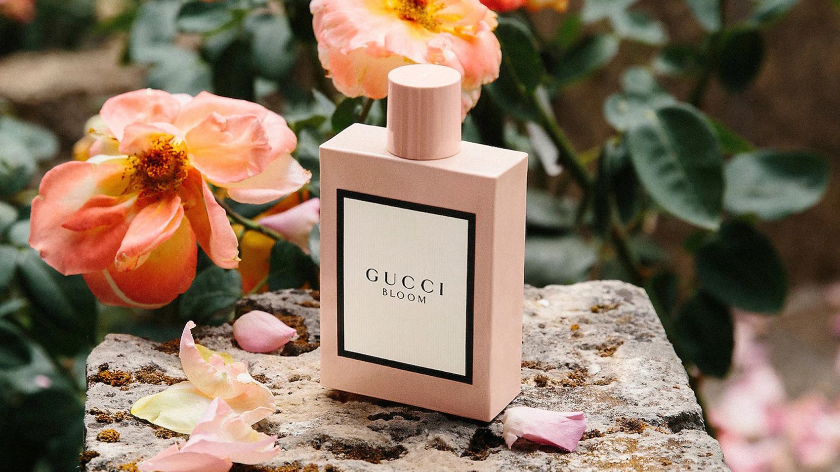 Perfume Quiz : Fragrance & Cologne Finder - Find your signature